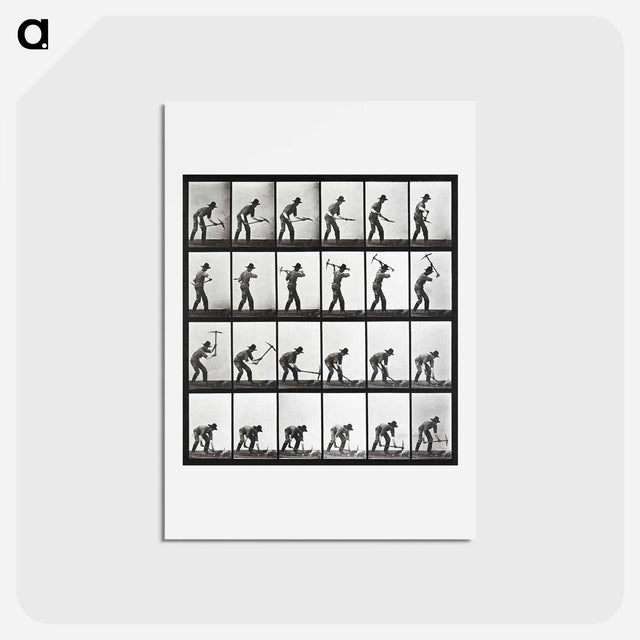アートポストカード-Animal Locomotion Plate 386
 - エドワード マイブリッジ Postcard.