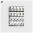 2-20_Eadweard-Muybridge_memo