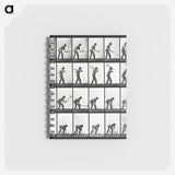 2-20_Eadweard-Muybridge_memo