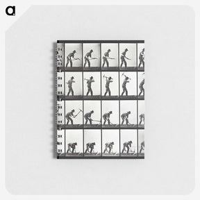 2-20_Eadweard-Muybridge_memo
