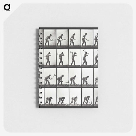 2-20_Eadweard-Muybridge_memo