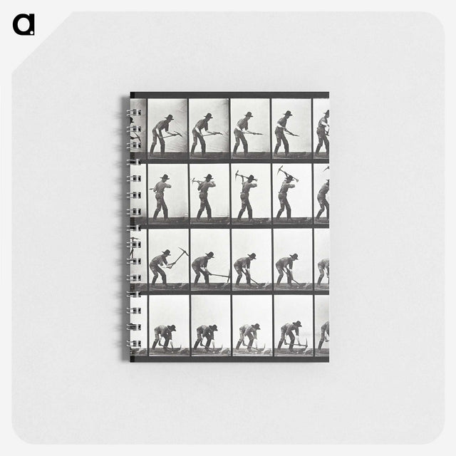 2-20_Eadweard-Muybridge_memo