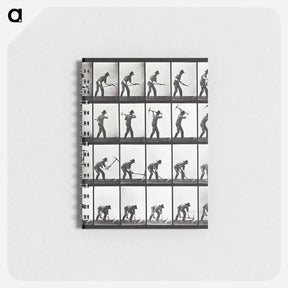 アートメモ帳-Animal Locomotion Plate 386
 - エドワード マイブリッジ Memo.