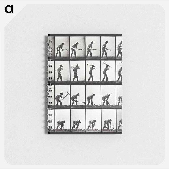 アートメモ帳-Animal Locomotion Plate 386
 - エドワード マイブリッジ Memo.