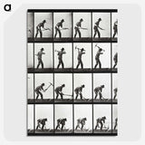 2-20_Eadweard-Muybridge_picture-crop