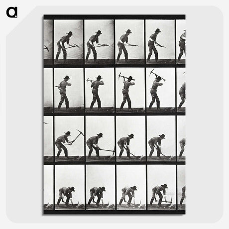 2-20_Eadweard-Muybridge_picture-crop