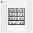 2-20_Eadweard-Muybridge_picture