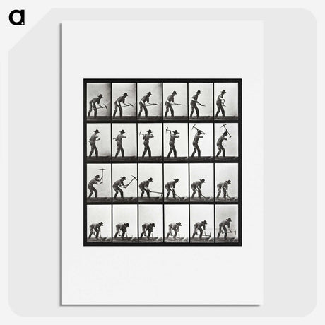 2-20_Eadweard-Muybridge_picture