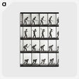 2-20_Eadweard-Muybridge_postcard