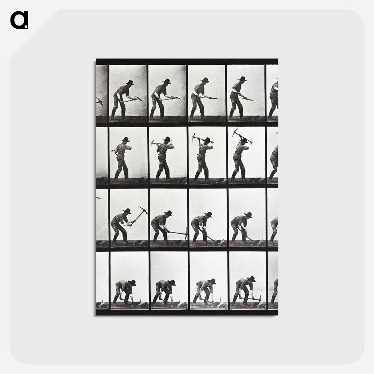 アートポストカード-Animal Locomotion Plate 386
 - エドワード マイブリッジ Postcard.