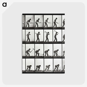 2-20_Eadweard-Muybridge_postcard