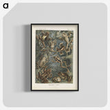 2-20_Ernst-Haeckel_blk-crop