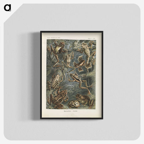 2-20_Ernst-Haeckel_blk-crop