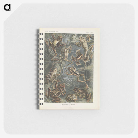 2-20_Ernst-Haeckel_memo