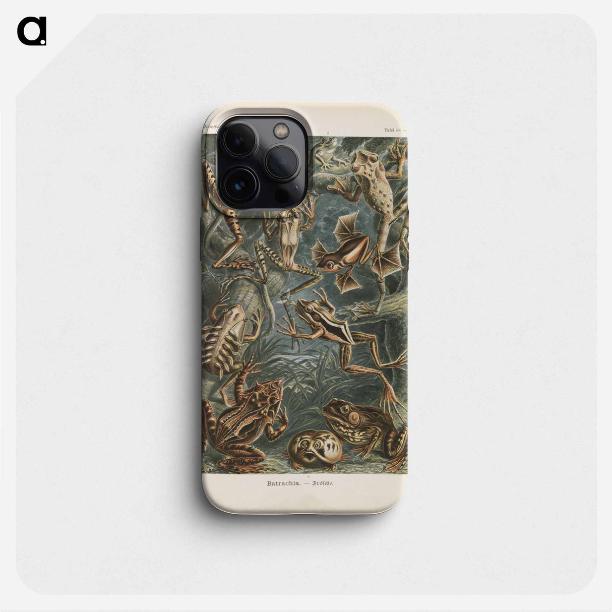 Frogs illustration from Kunstformen der Natur - エルンスト ヘッケル Phone Case.