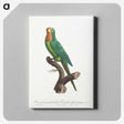2-20_Francois-Levaillant_canvas