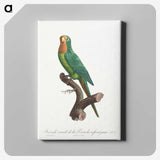 2-20_Francois-Levaillant_canvas