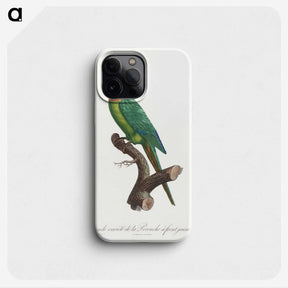 2-20_Francois-Levaillant_phone