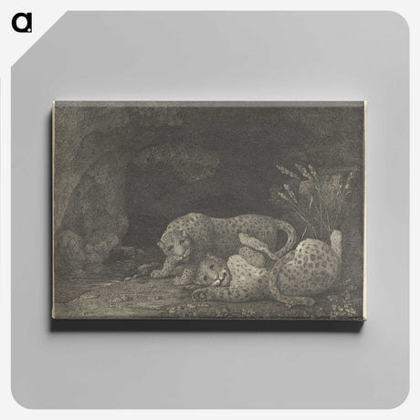2-20_George-Stubbs_canvas
