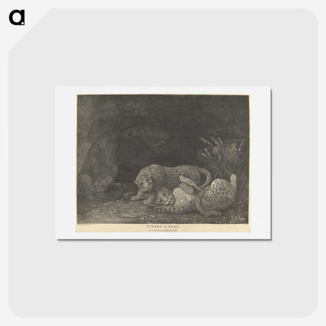 2-20_George-Stubbs_hagaki