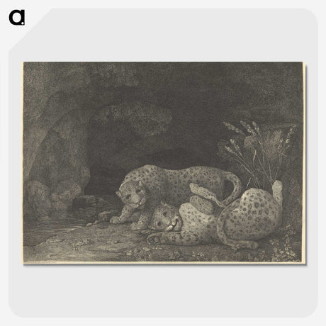 2-20_George-Stubbs_picture-crop
