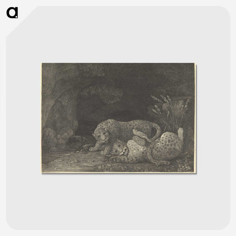 2-20_George-Stubbs_postcard
