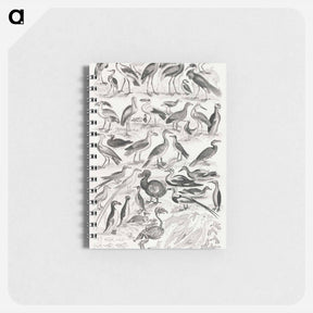 アートメモ帳-Ornithology
 - ゴールドスミスの生き生きとした自然 Memo.