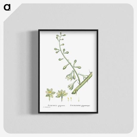 2-20_Histoire-des-Plantes-Grasses_blk-crop