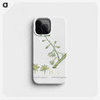 2-20_Histoire-des-Plantes-Grasses_phone