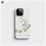 2-20_Histoire-des-Plantes-Grasses_phone