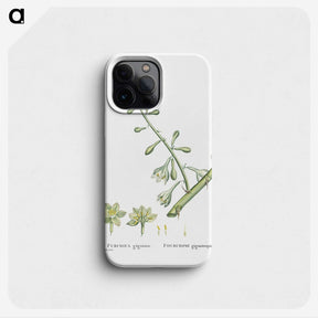 2-20_Histoire-des-Plantes-Grasses_phone