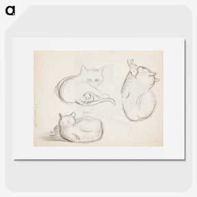 2-20_Hugo-Simberg_picture