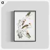 2-20_Indian-Zoology_blk-crop