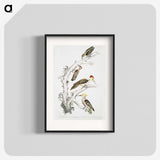 2-20_Indian-Zoology_blk