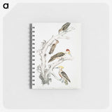 2-20_Indian-Zoology_memo