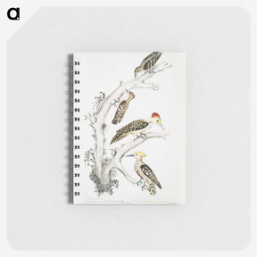 2-20_Indian-Zoology_memo