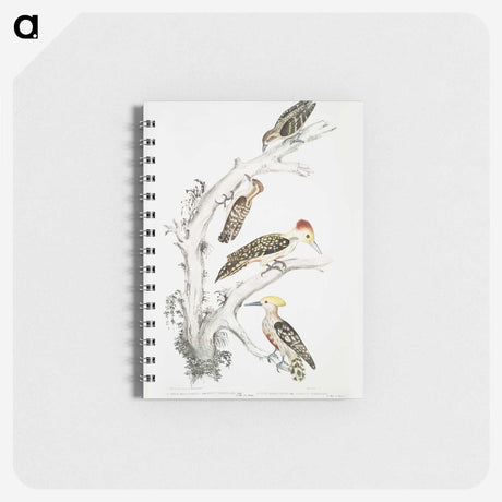 2-20_Indian-Zoology_memo