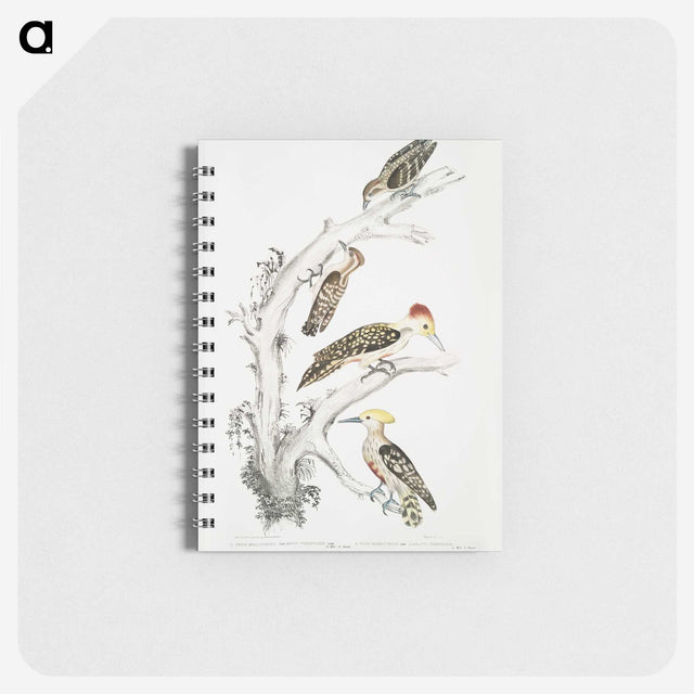 2-20_Indian-Zoology_memo