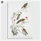 2-20_Indian-Zoology_picture-crop