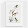 2-20_Indian-Zoology_picture
