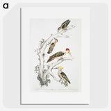 2-20_Indian-Zoology_picture