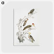 2-20_Indian-Zoology_postcard