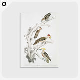 2-20_Indian-Zoology_postcard