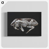 2-20_Insects-Unlocked-Project_blk-crop