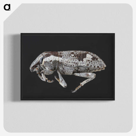 2-20_Insects-Unlocked-Project_blk-crop