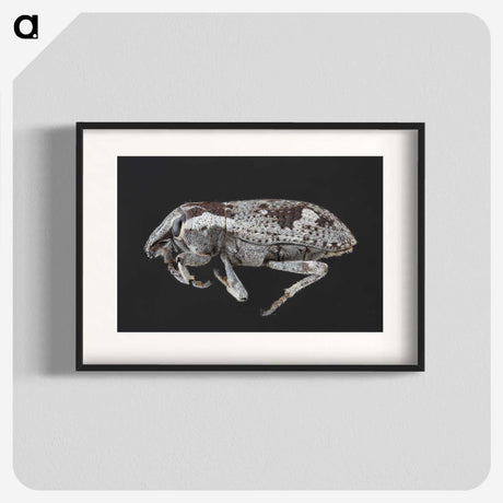 2-20_Insects-Unlocked-Project_blk
