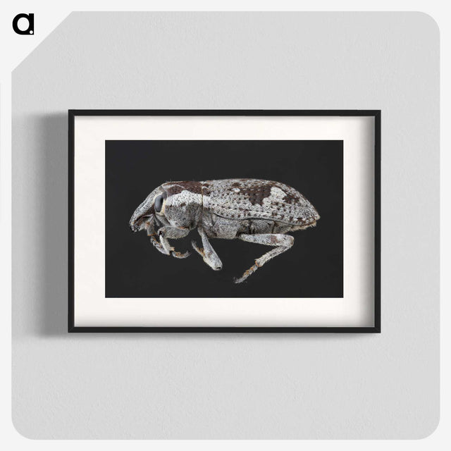2-20_Insects-Unlocked-Project_blk