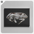 2-20_Insects-Unlocked-Project_canvas