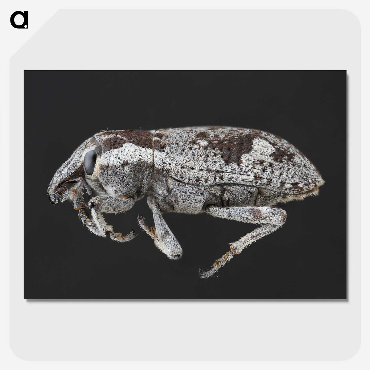 2-20_Insects-Unlocked-Project_picture-crop