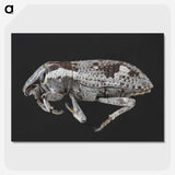 2-20_Insects-Unlocked-Project_picture-crop